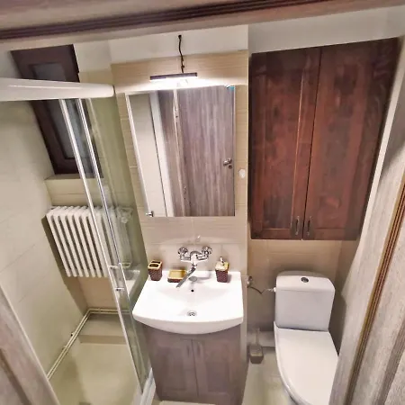 Apartment Cozy Sala Palatului *