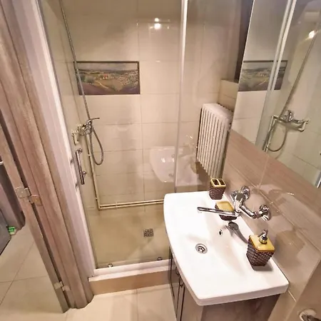 Cozy Sala Palatului *