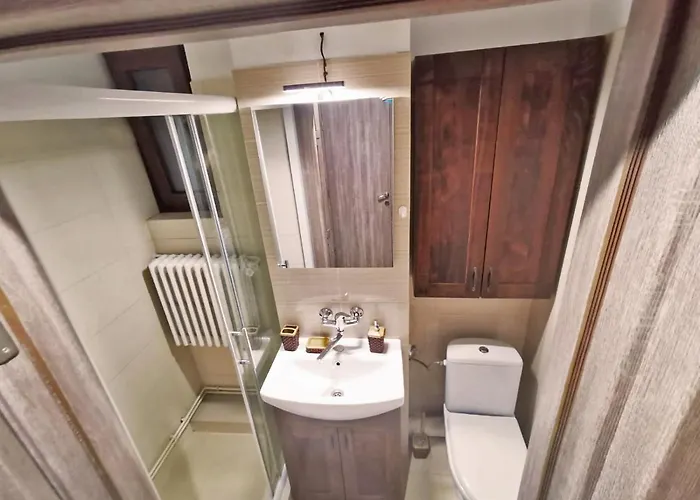 Appartement Cozy Sala Palatului *