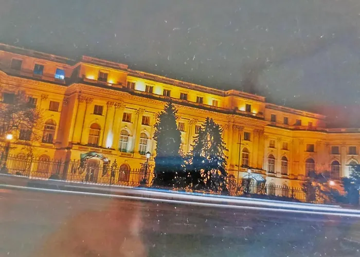 Cozy Sala Palatului شقة *