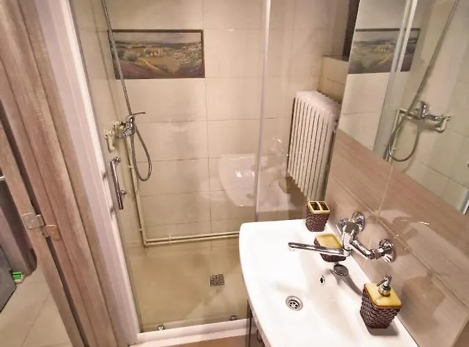 Cozy Sala Palatului *